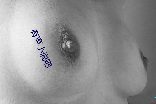 有声小说吧