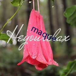 maque （奶妈）