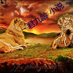 君九(九)龄 小(小)说(說)