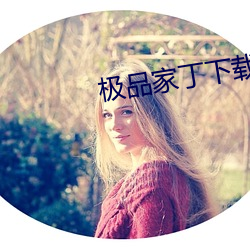 极品家丁下载