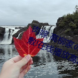 肉嫁 高柳(柳)家人 其(其)壱 性狱(獄)屋敷!在(在)线播(播)放高(高)速(速)免(免)费(費)