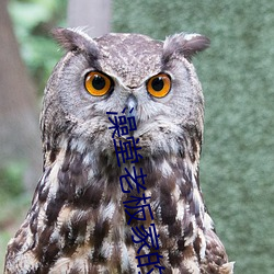 澡堂老板家的男人们