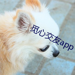 觅(覓)心交友app