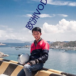 欧(歐)洲VODAFONE APN
