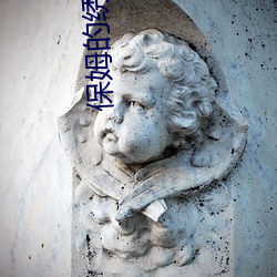 保(bǎo)姆的绣感(gǎn)5法国(guó)