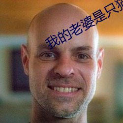我的老婆是只貓