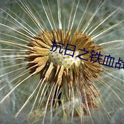 抗日之鐵血戰將
