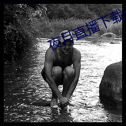 夜月直播下載ios
