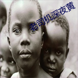 老司机深夜黄(huáng)