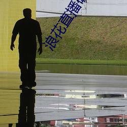 浪(浪)花(花)直播破(破)解(解)