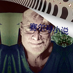 赛尔号(號)小说(說)