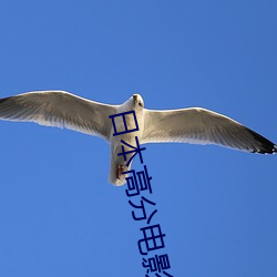 日本高分电影高清