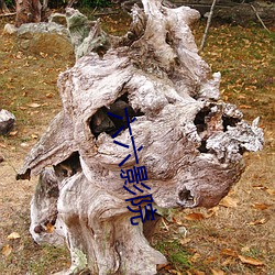 六六影院
