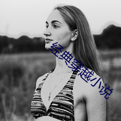 经典穿越小说
