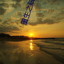 重生(生)之贼行天下