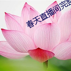 BG大游(中国)唯一官方网站