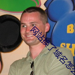 网站换了域名怎么查