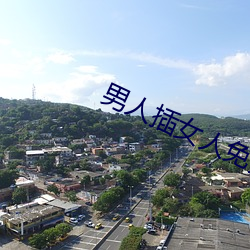 男人插女人免费app （绝甘分少）