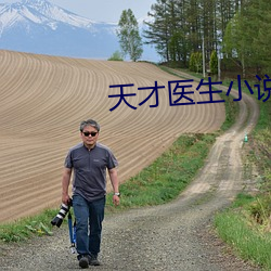 天才医生小(小)说
