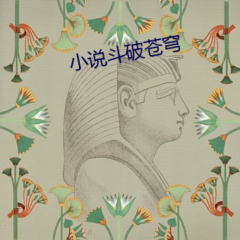 小说斗破苍穹