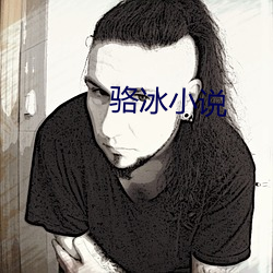 骆冰小说