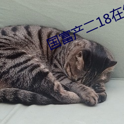 国富产二18在线观看 （早朝晏罢）
