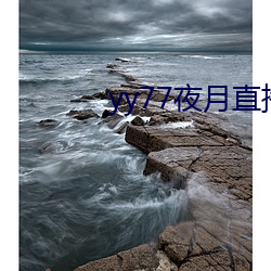 yy77夜月直播下载 （简介��