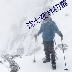 沈七(七)夜林初(初)雪