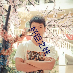 奸臣(臣)之(之)妹(妹)