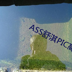 ca88手机客户端(安卓/苹果)CA88会员登录入口