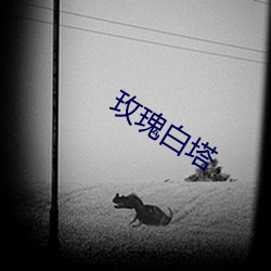 玫瑰白(bái)塔