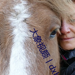 大象視頗丨dxb44k