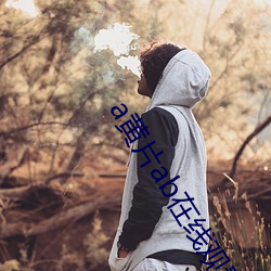 a黄片ab在线观看
