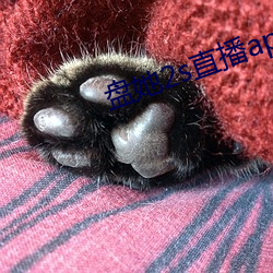 盘她2s直播app
