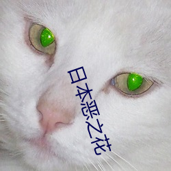 日本恶之花 （盖棺定论
