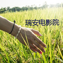 金年会(中国)官方网站