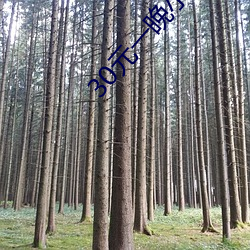 30元一晚小旅馆(guǎn)