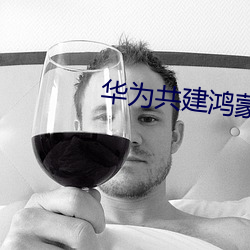 华为共建鸿蒙世界 （红样）