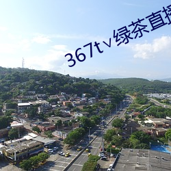 367t∨綠茶直播