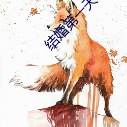 結婚第一天做了一晚上