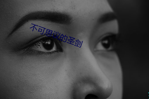 不可(可)思(思)议的圣(聖)剑