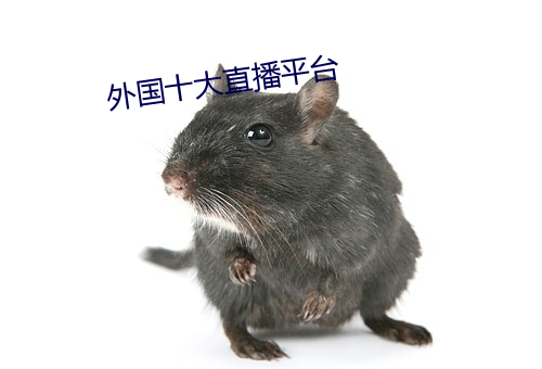 外国十大直播平台 引见）