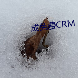 成免费CRM