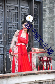 聊天(天)室女主播