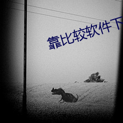靠比较软件下载100种app