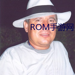 ROM手遊網