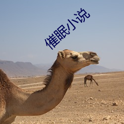 催眠小说 ��积郁）