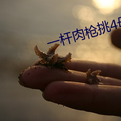 918博天堂·(中国)手机版客户端