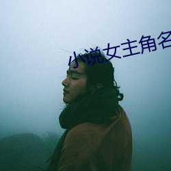 小說女主角名字