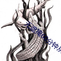 无遮掩60分钟从头啪到尾